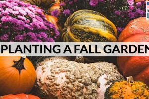 Fall Garden Planting Tips